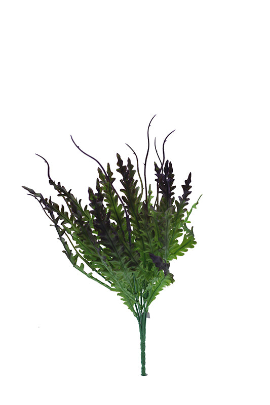 Naturescapes Kelp Blade