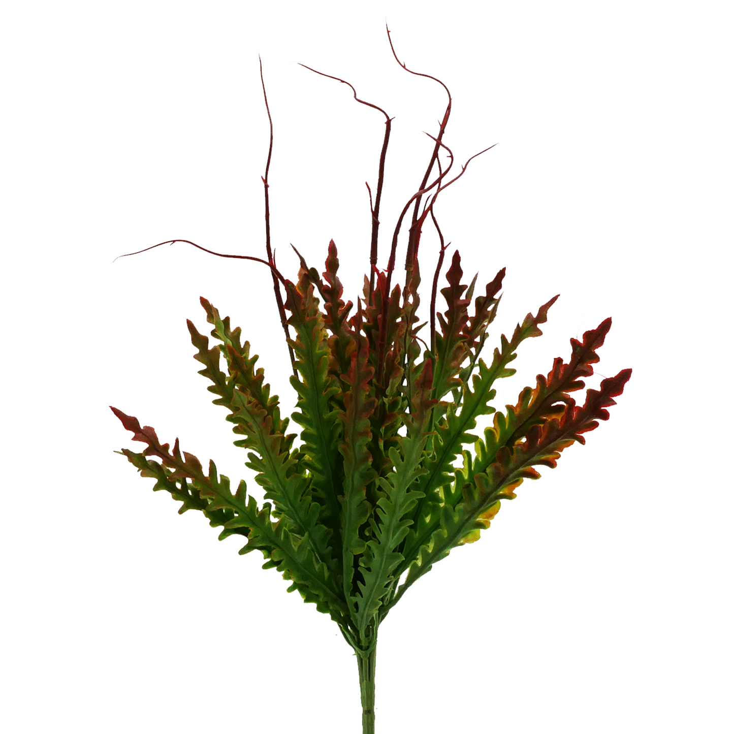 Naturescapes Kelp Blade