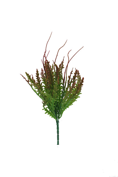 Naturescapes Kelp Blade