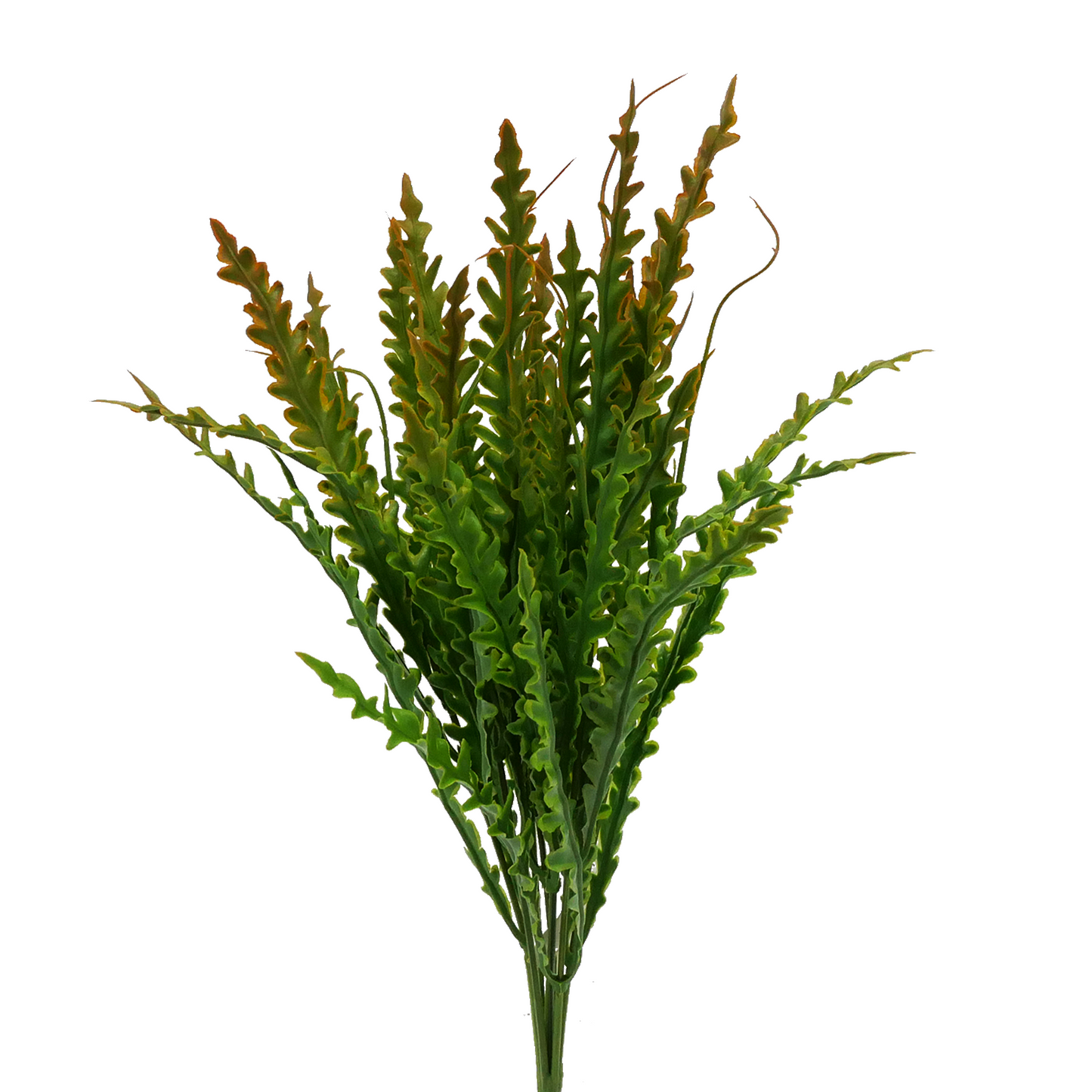 Naturescapes Kelp Blade