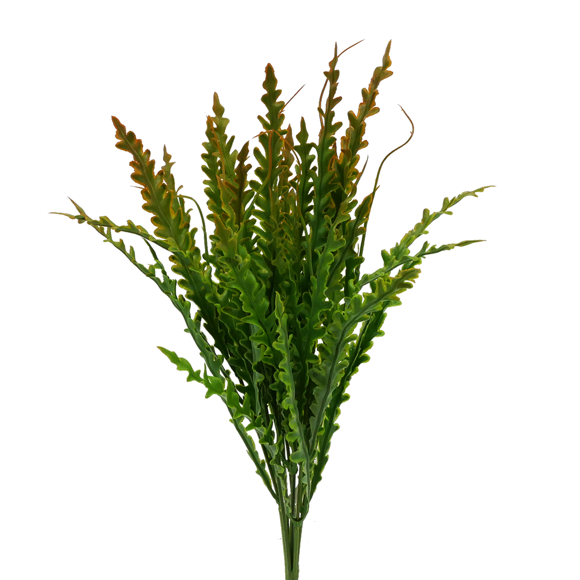 Naturescapes Kelp Blade