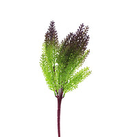 Naturescapes Maidenhair