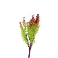 Naturescapes Maidenhair