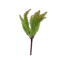 Naturescapes Maidenhair