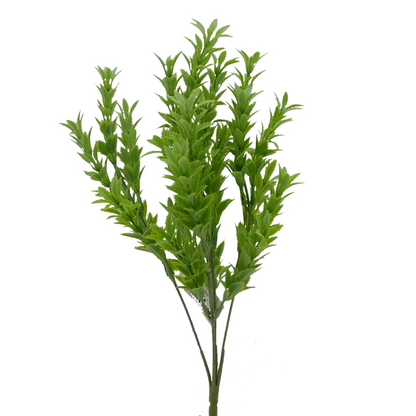 Naturescapes Mermaid Weed