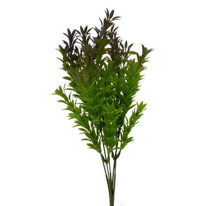 Naturescapes Mermaid Weed