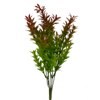 Naturescapes Mermaid Weed