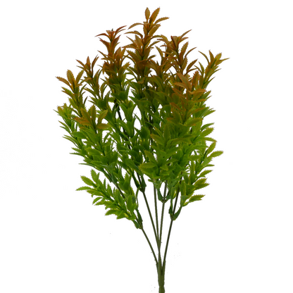 Naturescapes Mermaid Weed