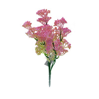 Naturescapes Queen Annes Lace