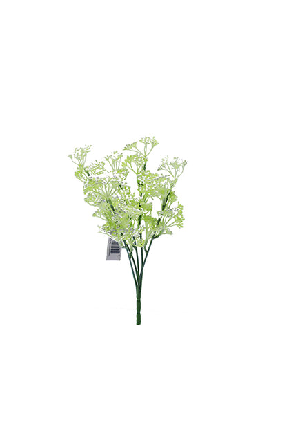 Naturescapes Queen Annes Lace