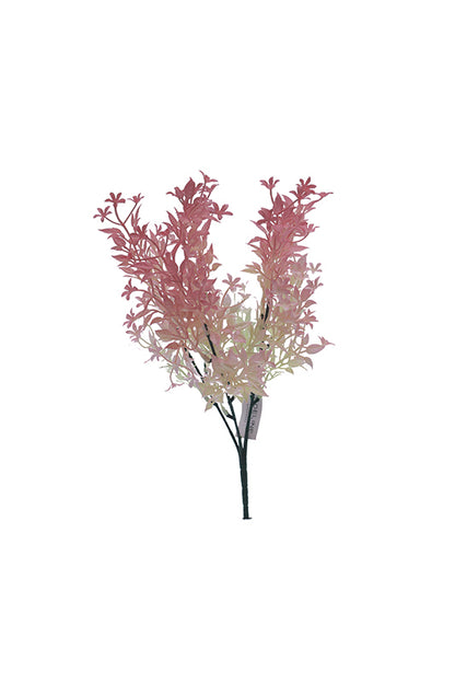 Naturescapes Ruskus