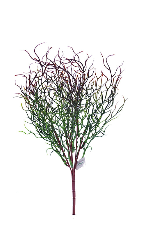 Naturescapes Willow Weed