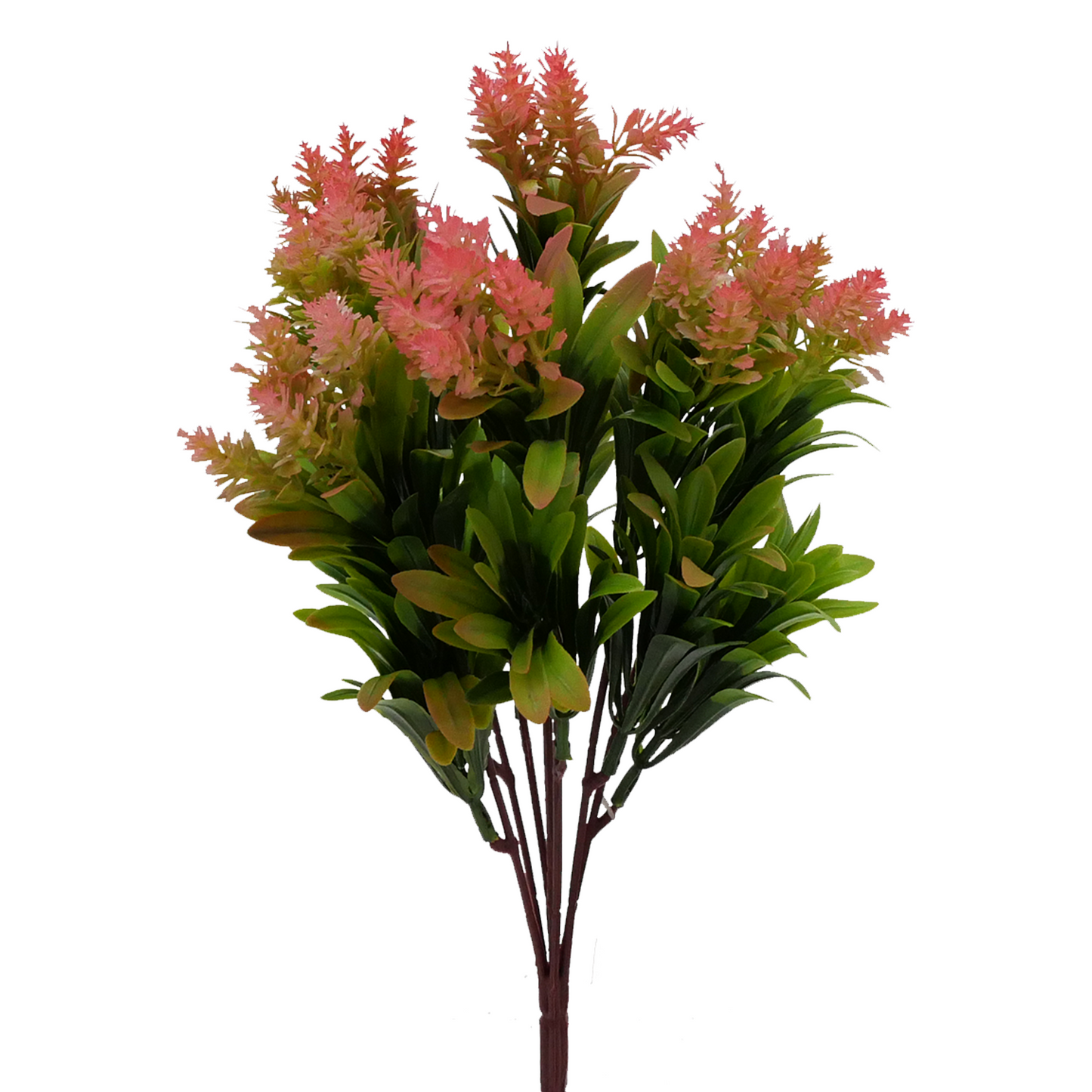 Naturescapes Bluebell Amaranth Mini