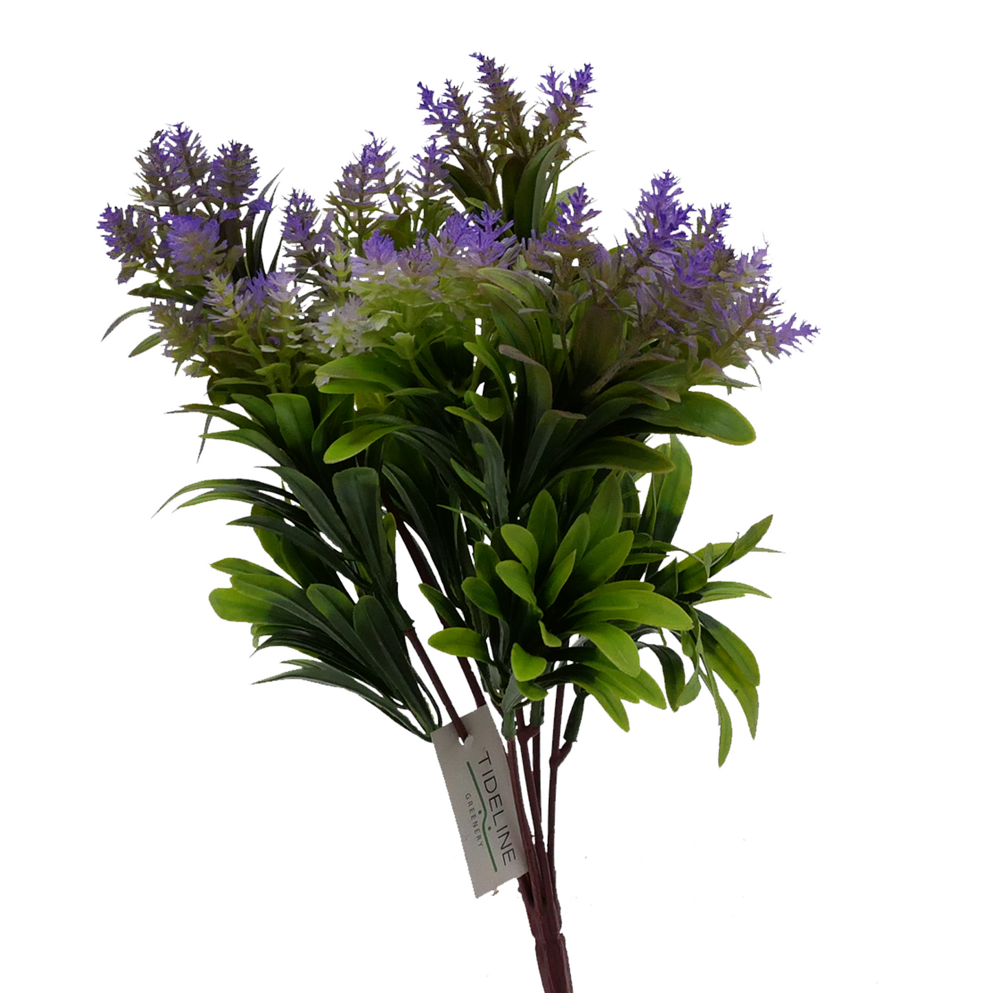 Naturescapes Bluebell Amaranth Mini