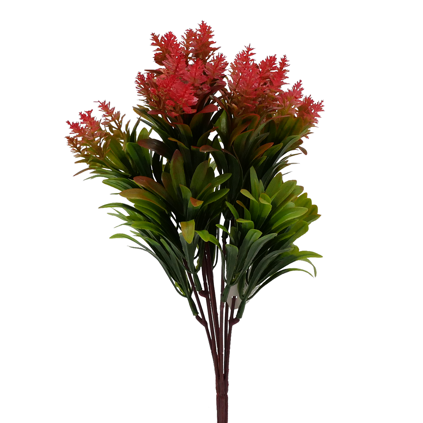 Naturescapes Bluebell Amaranth Mini