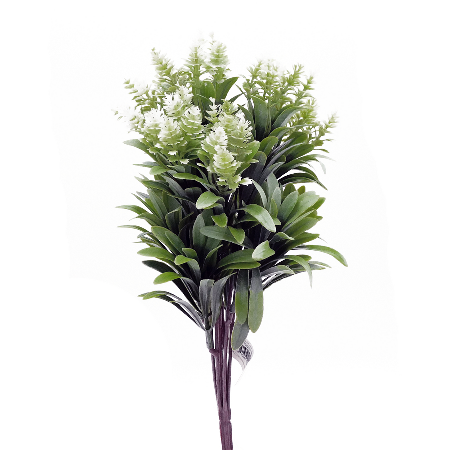Naturescapes Bluebell Amaranth Mini