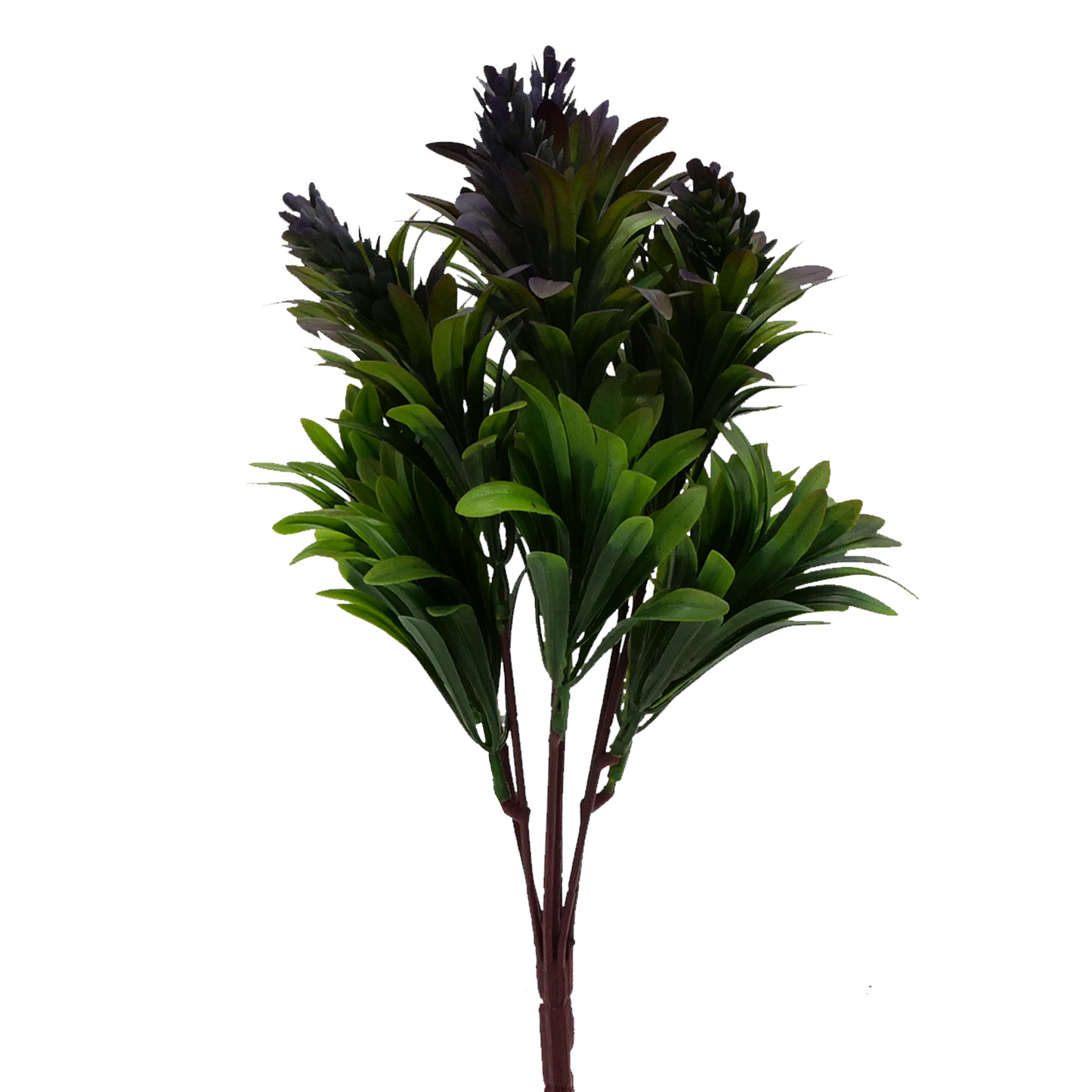 Naturescapes Bluebell Cones