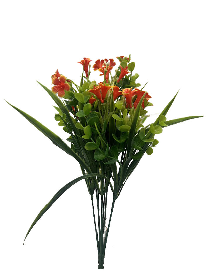 Naturescapes Flowering Clover Grass
