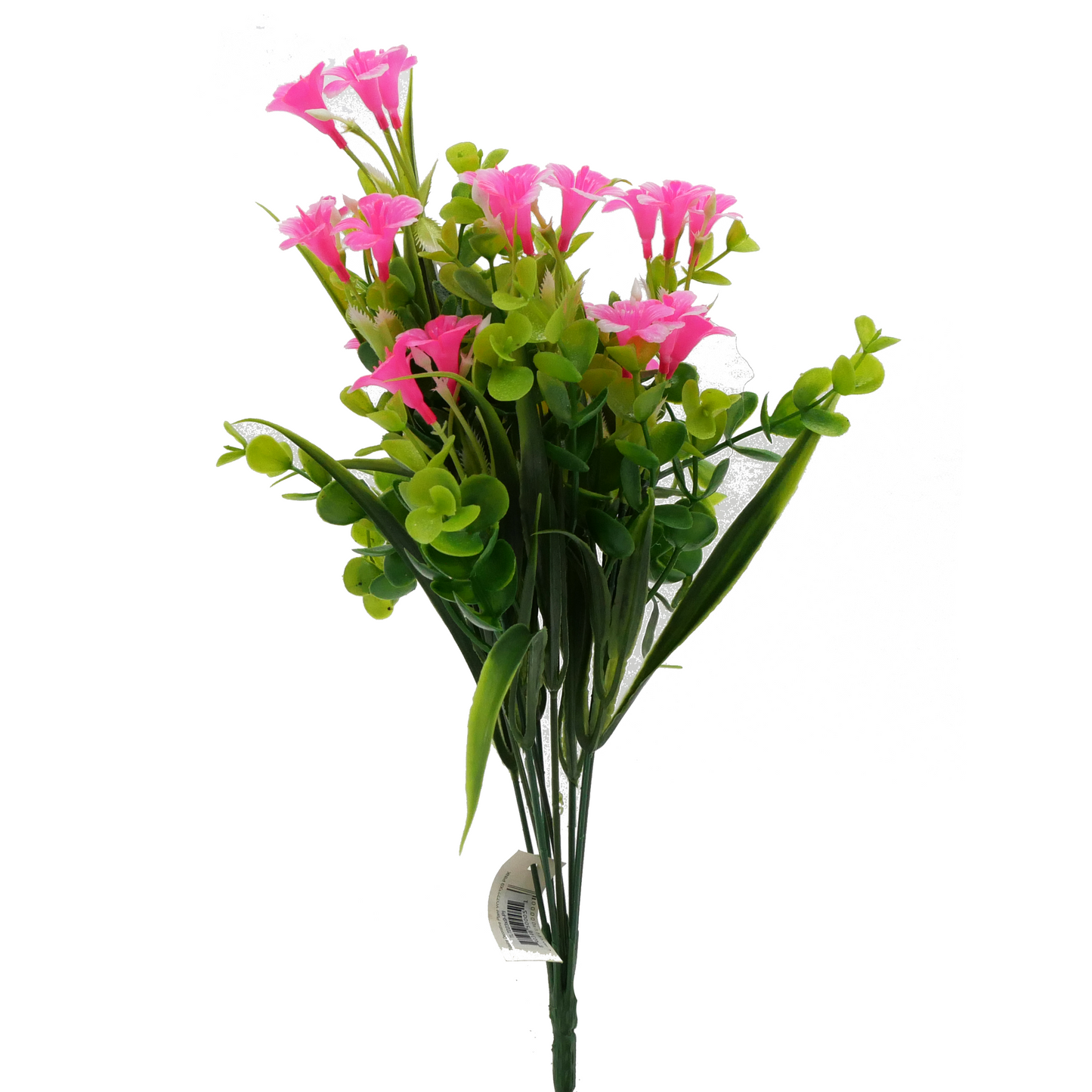 Naturescapes Flowering Clover Grass