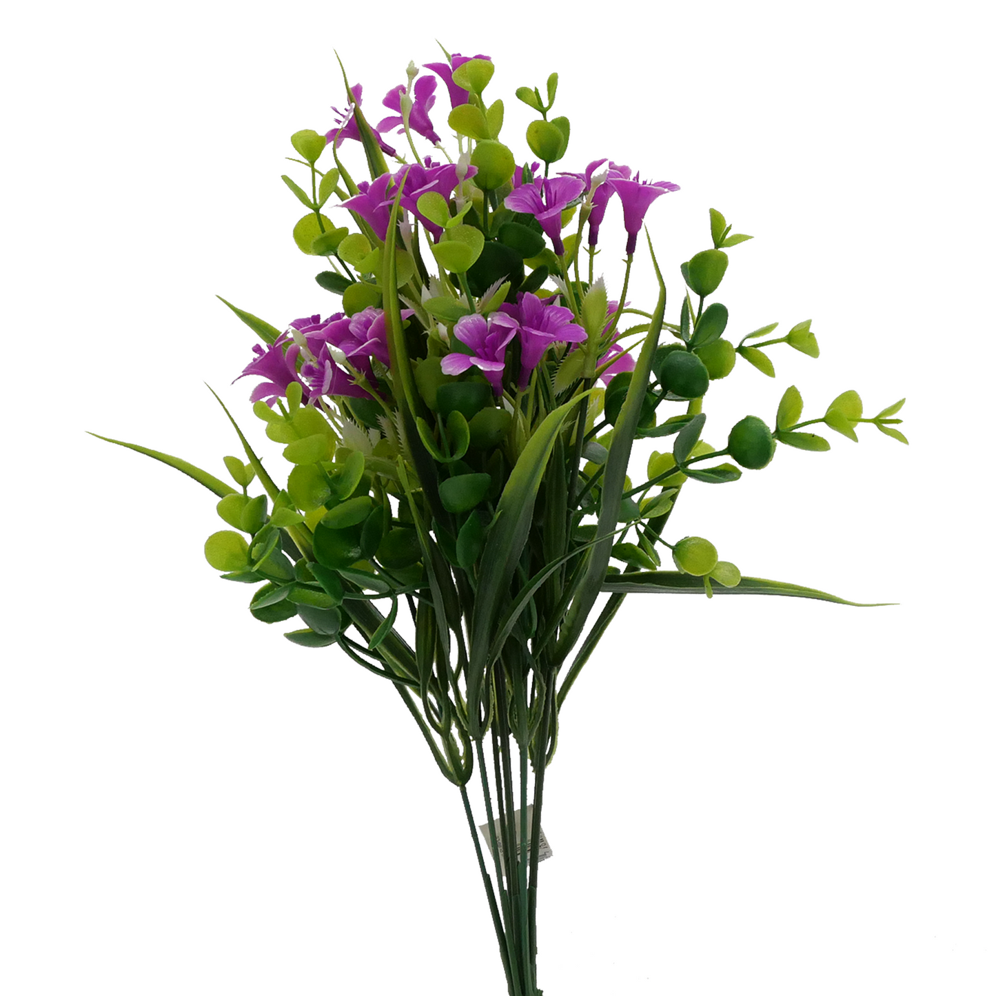 Naturescapes Flowering Clover Grass