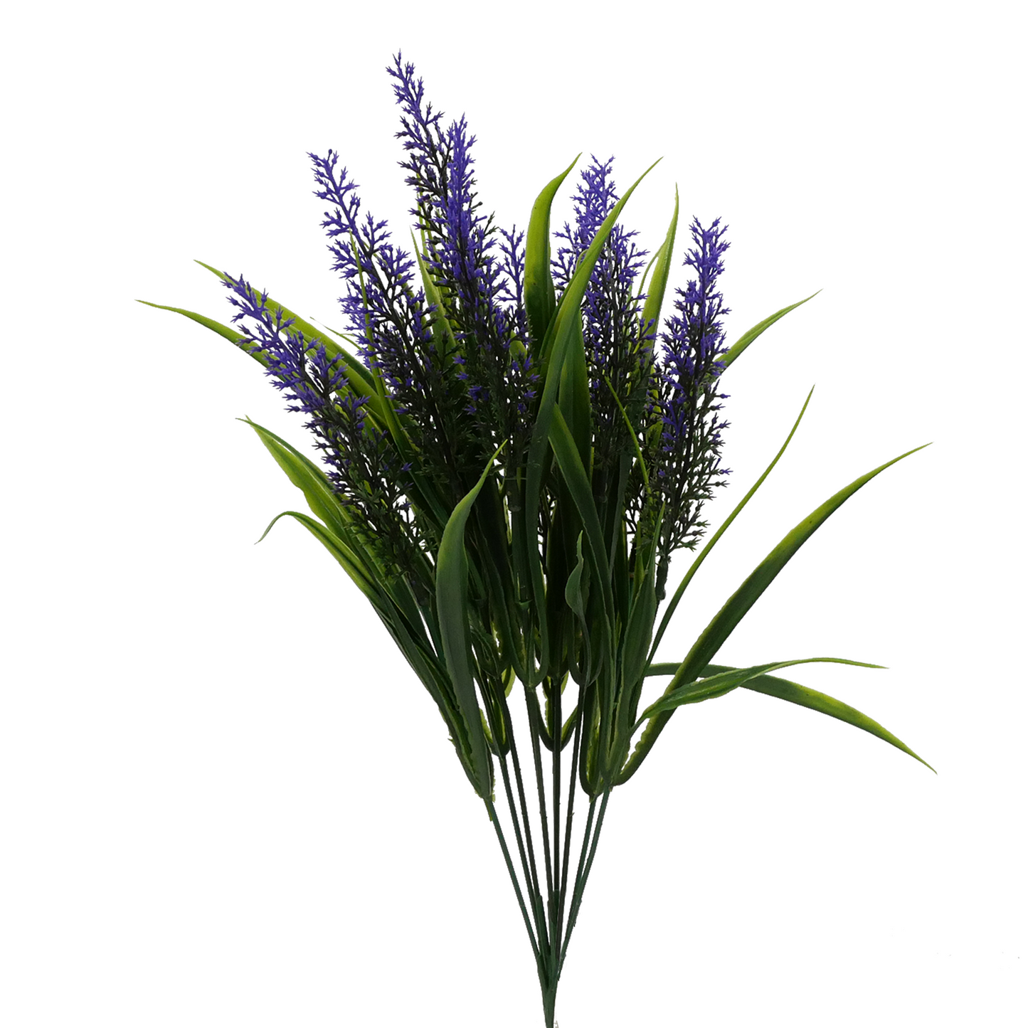 Naturescapes Medium Amaranth Grass