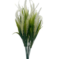 Naturescapes Tall Amaranth Grass