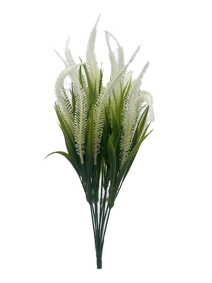 Naturescapes Tall Amaranth Grass