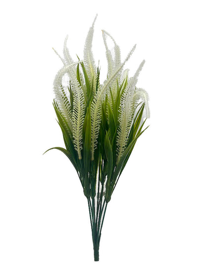 Naturescapes Tall Amaranth Grass