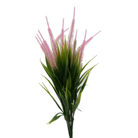 Naturescapes Tall Amaranth Grass