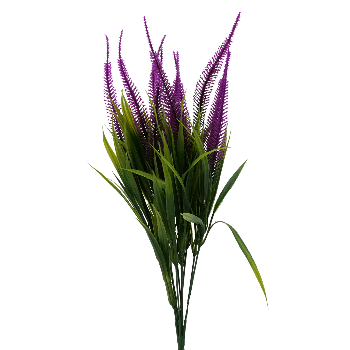 Naturescapes Tall Amaranth Grass