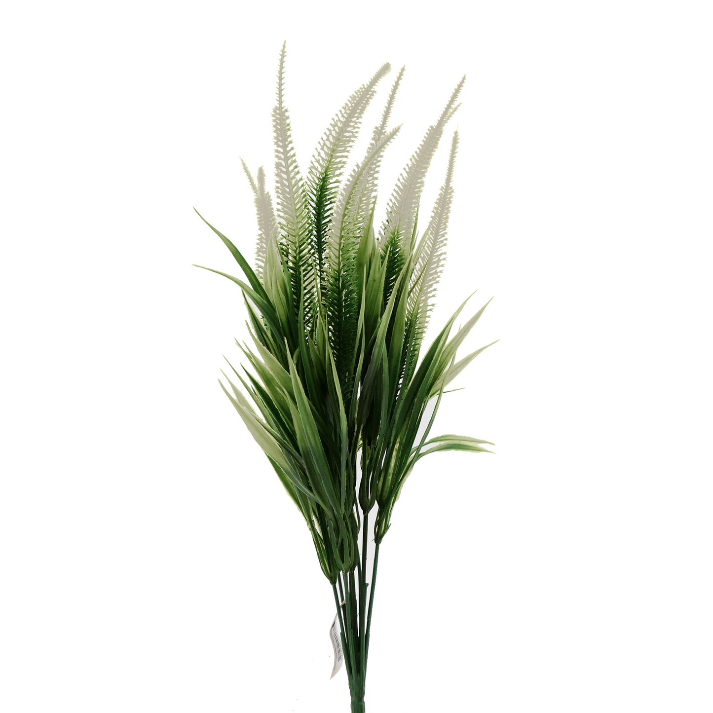 Naturescapes Tall Amaranth Grass