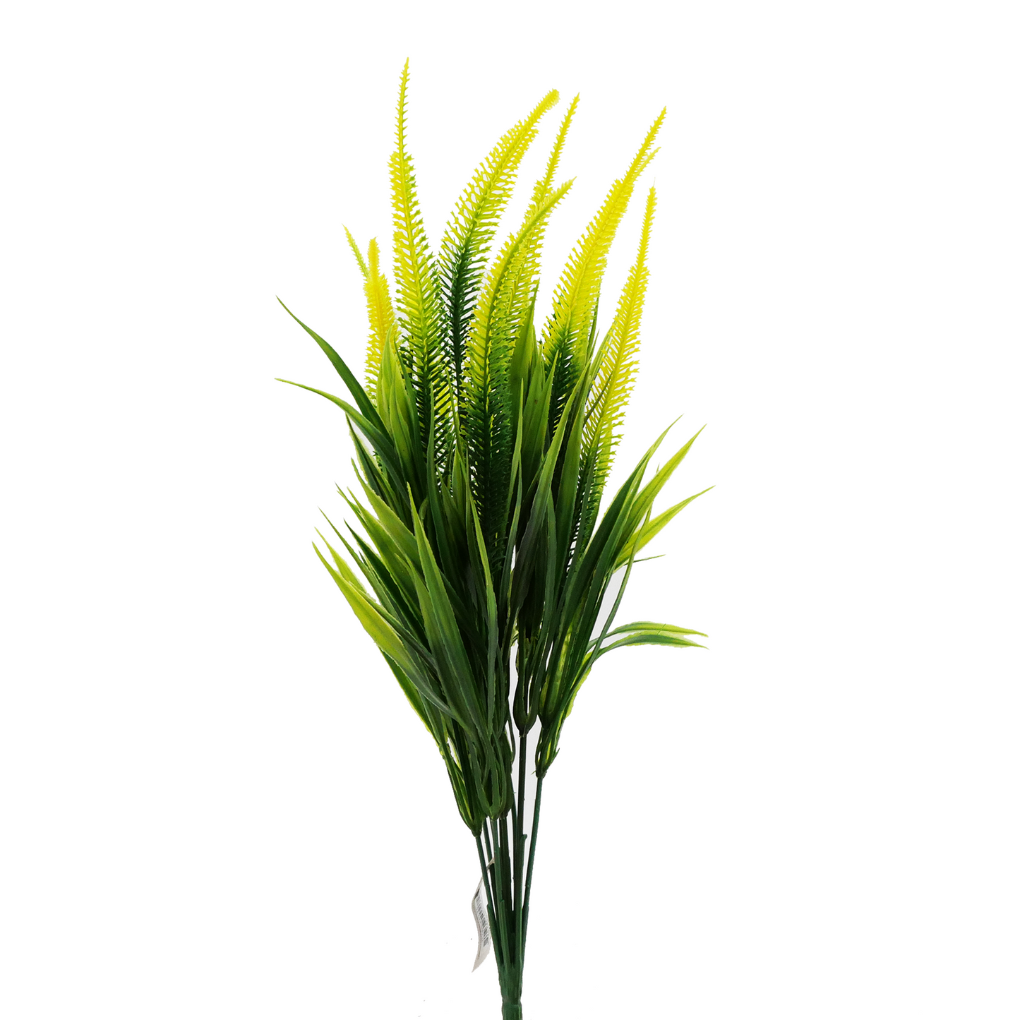 Naturescapes Tall Amaranth Grass