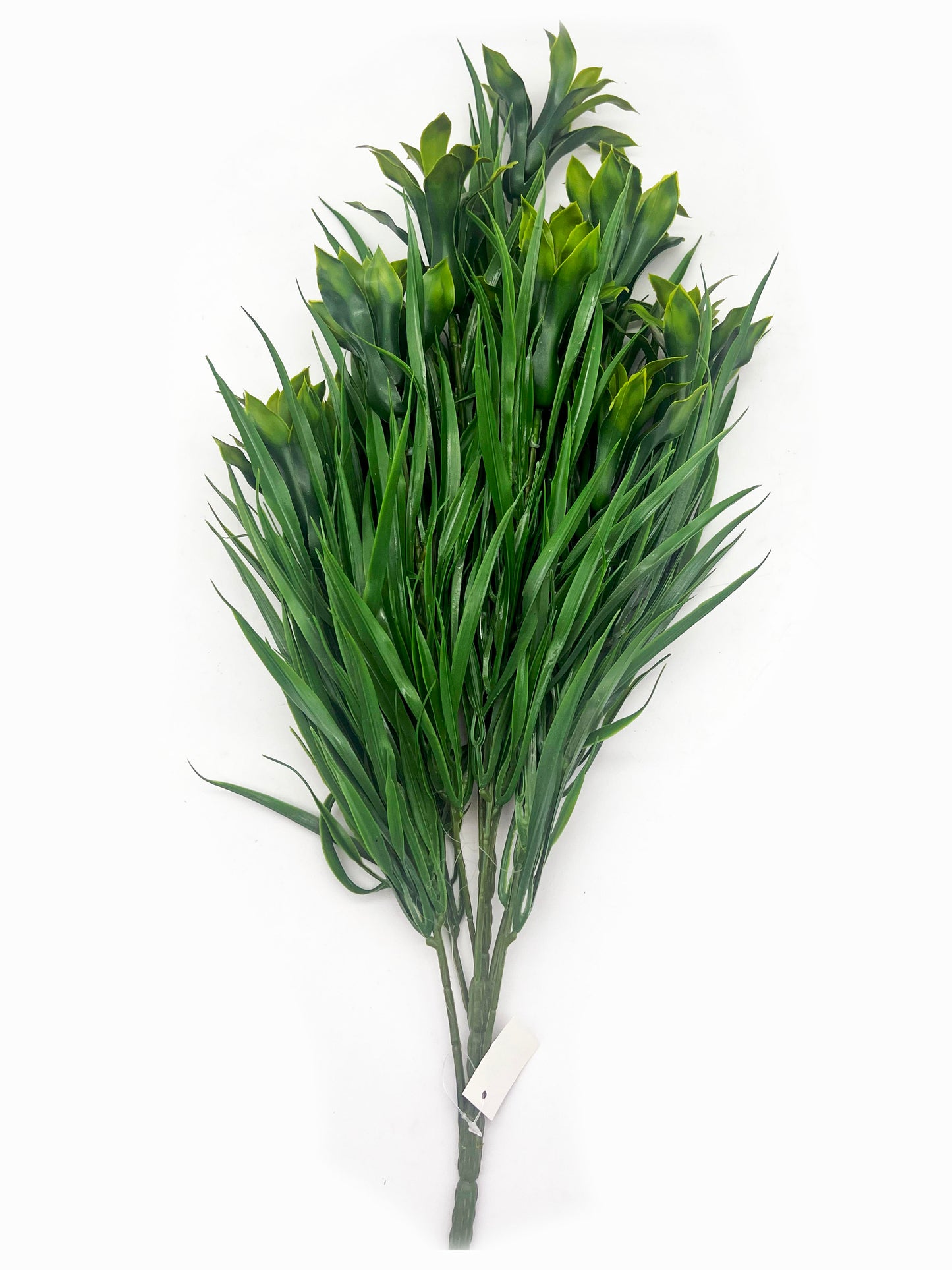 Naturescapes Budding Dracaena