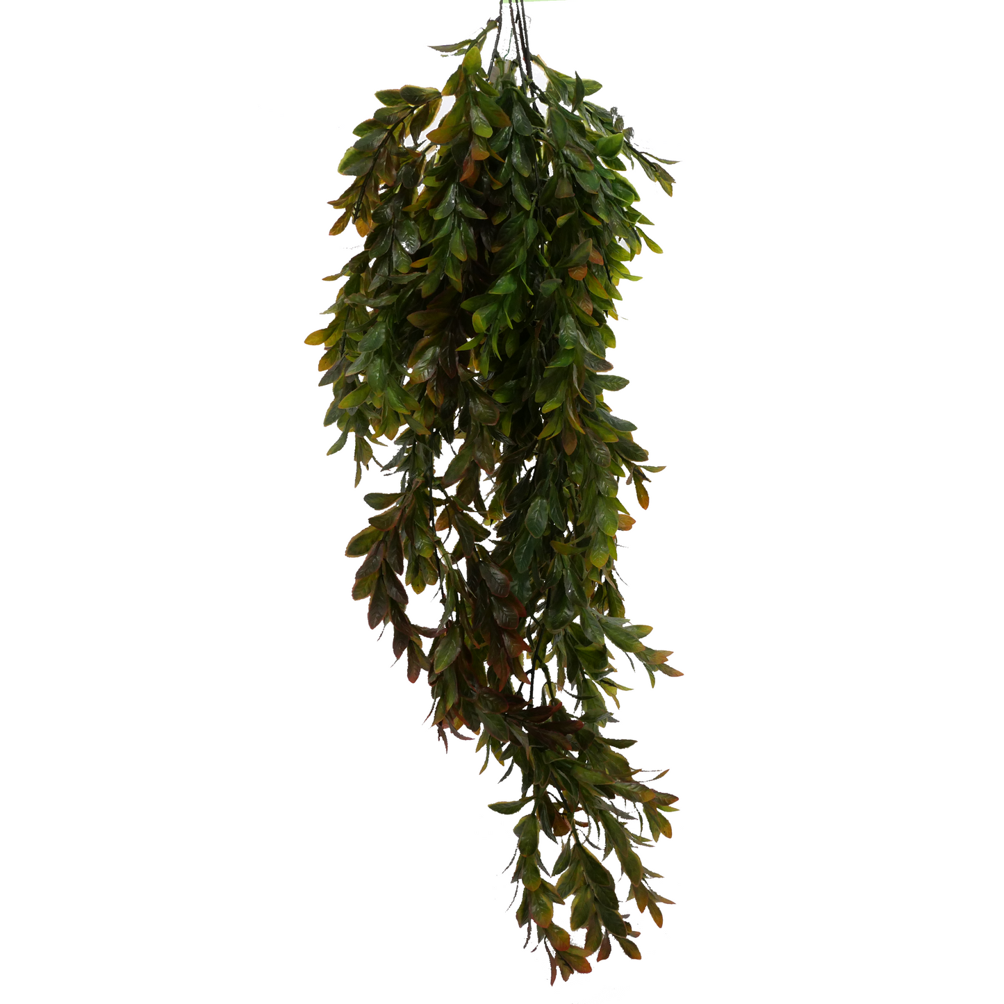 Naturescapes Hanging Vine