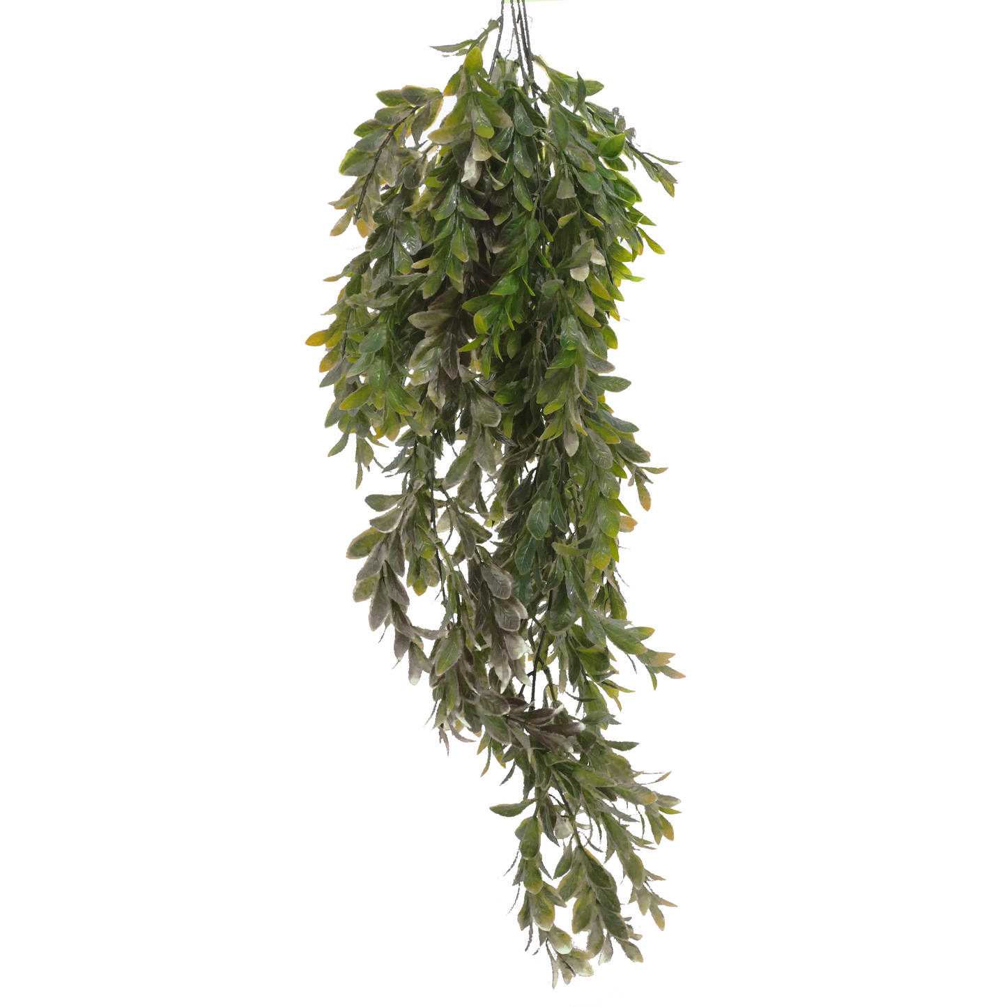 Naturescapes Hanging Vine