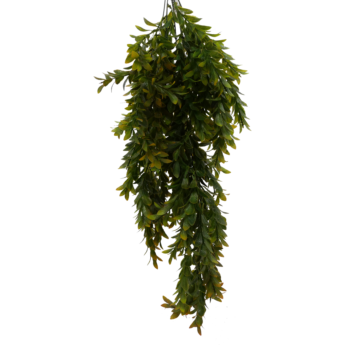 Naturescapes Hanging Vine