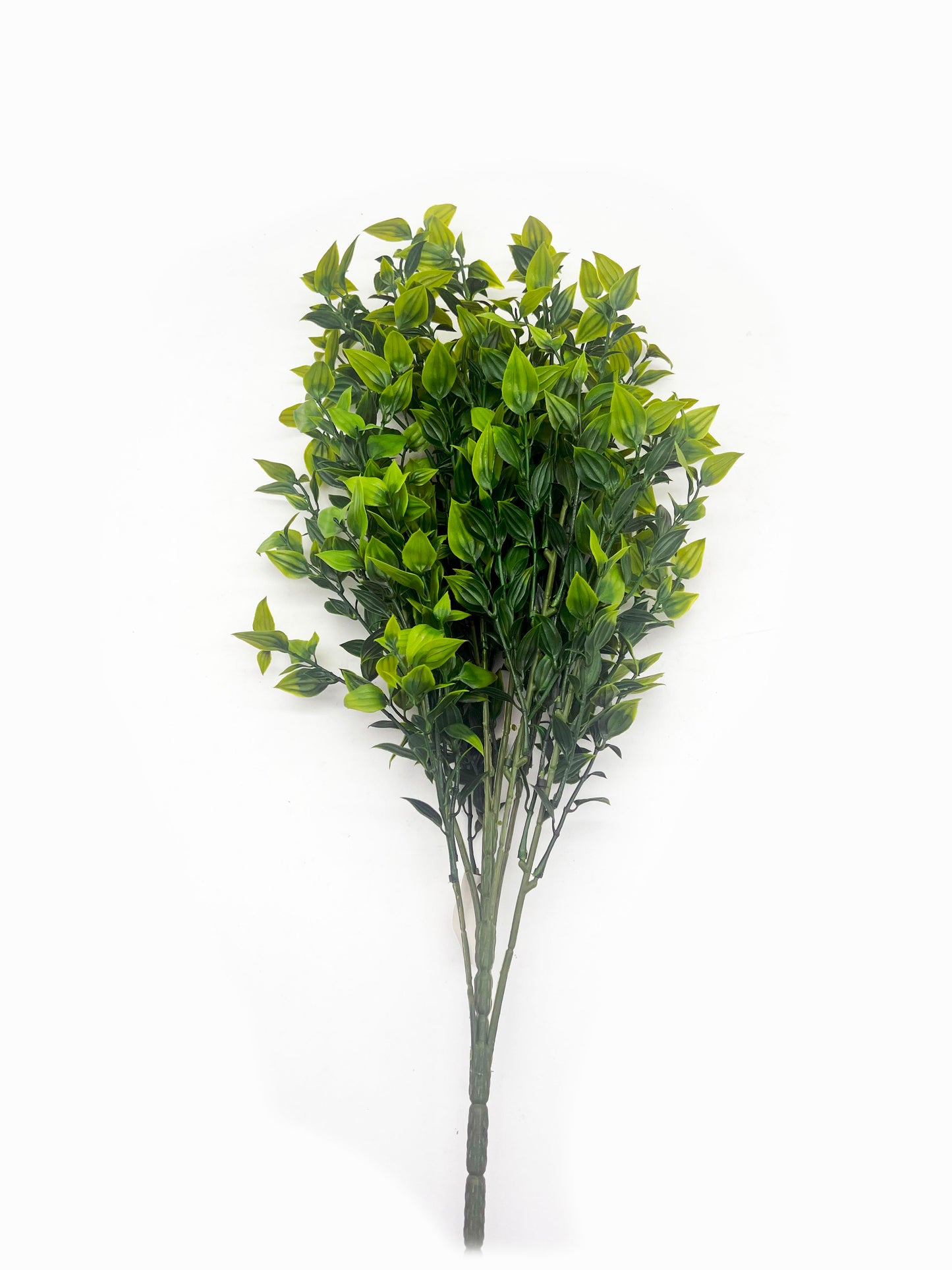 Naturescapes Tea Leaf