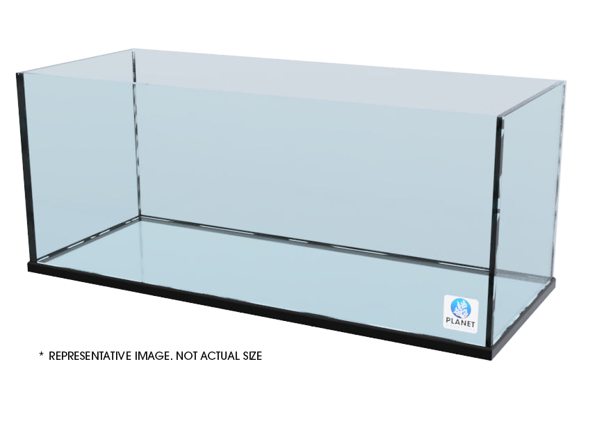 Rimless 60.5 x 30.5 x 24.75 Show Aquarium
