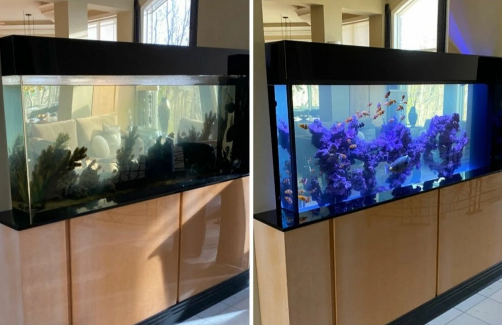 Aquarium transformation service image