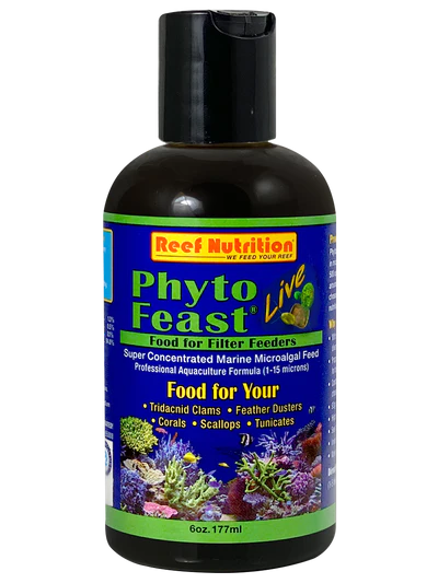 Phyto Feast LIVE
