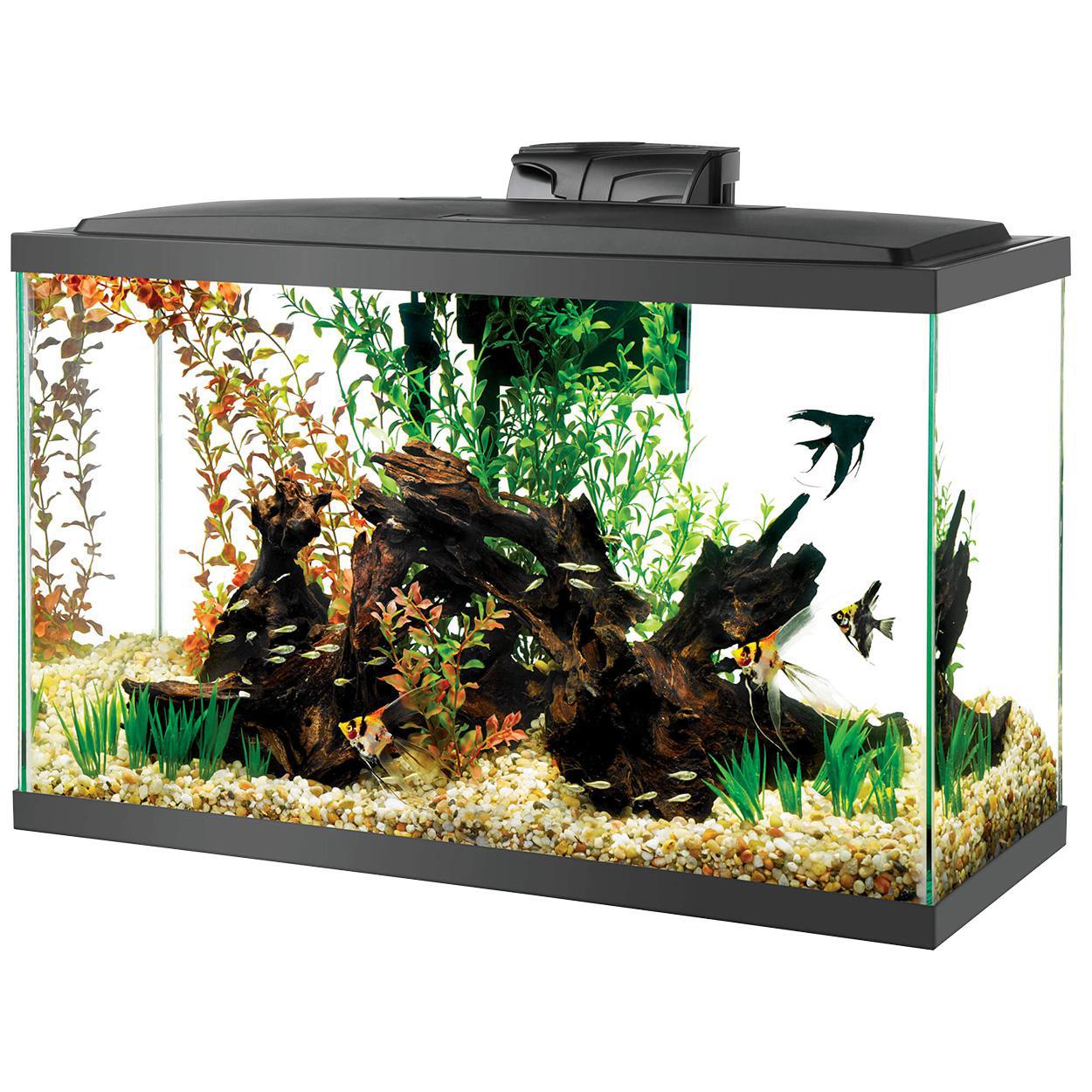 Aqueon LED Aquarium Kit