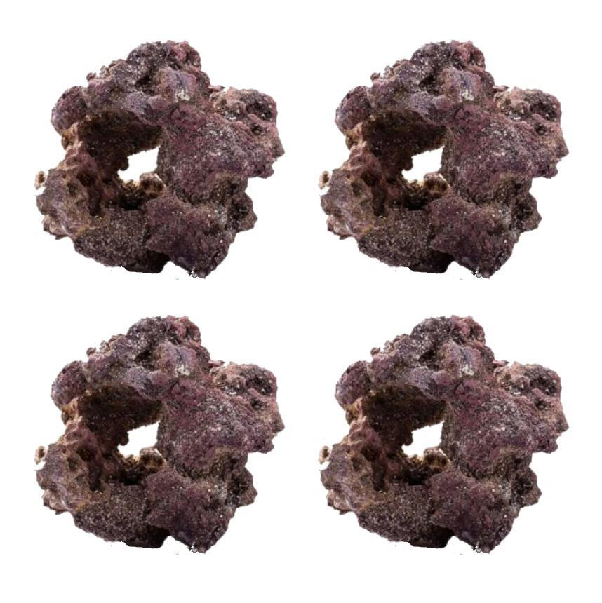 LifeRock Donuts