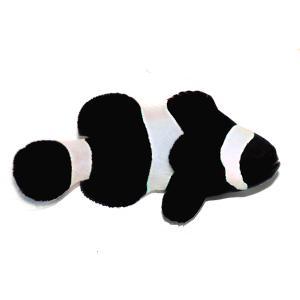 XL Black Darwin Clownfish