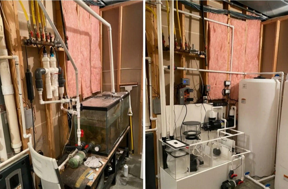 Aquarium transformation service image