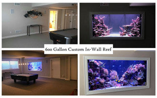 Matt's Corals Showcase Image