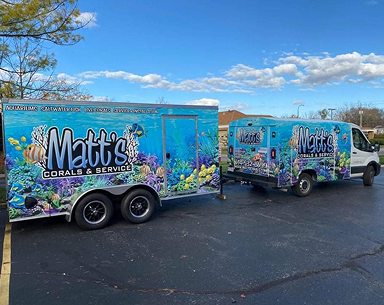 Instagram post from Matt's Corals